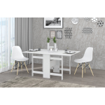 Стол - книжка Лидер Белый