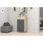 Тумба д/обуви Монако ТБ-01 Сонома/Графит