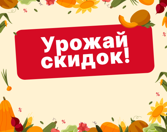 Главная Л01